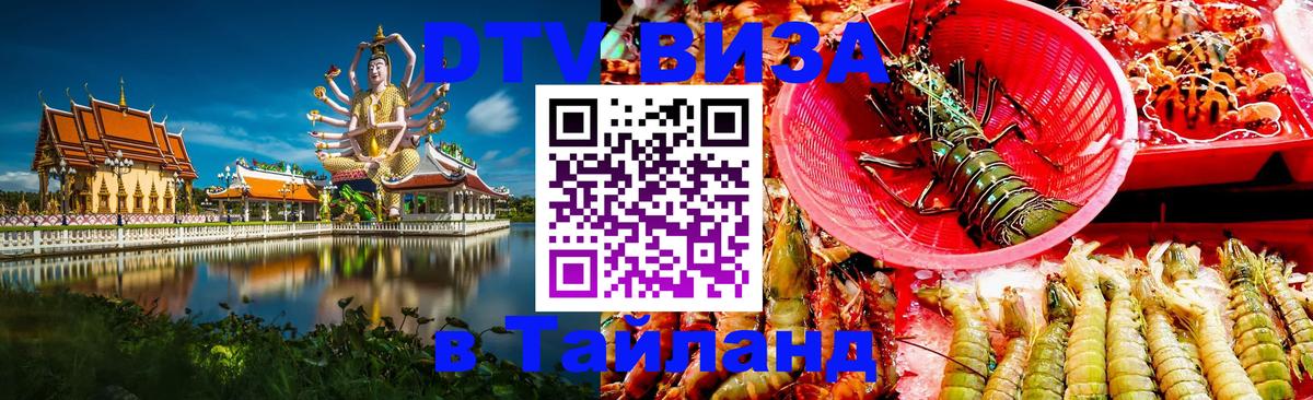 Оформление DTV визы под ключ: стоимость и тарифы, только загранпаспорт - Владимир  04.12.2025 